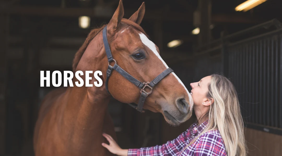 Woman affectionately interacting with a brown horse in a stable, representing proper equine care and health maintenance.